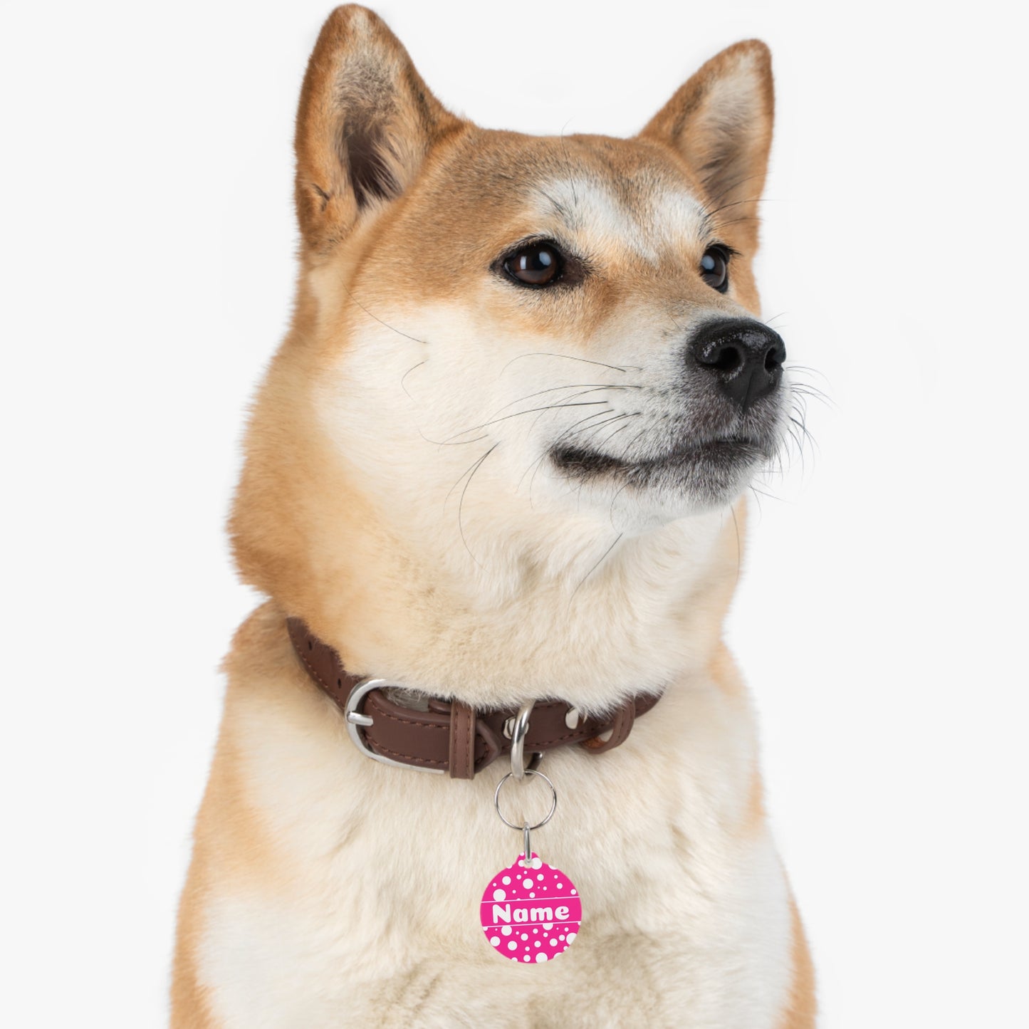 Pet Tag - Personalized Pet ID Tag - Round Tag - Bailey